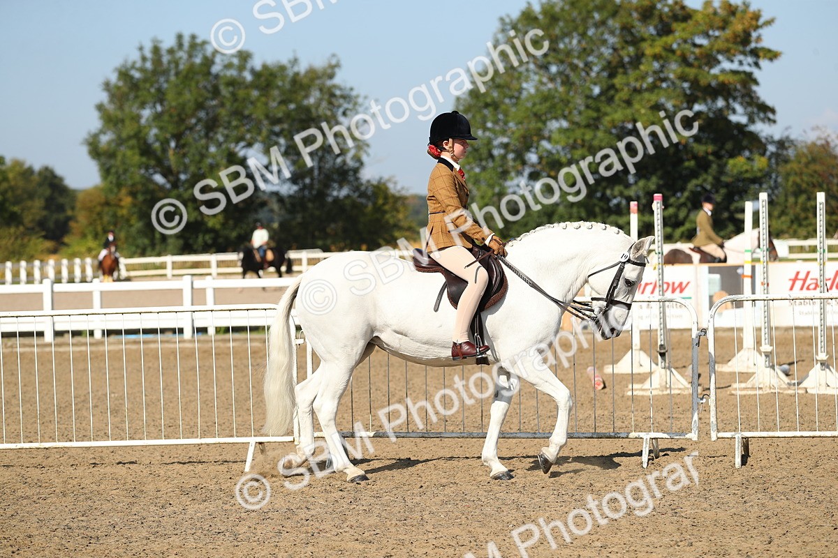 SBM_02187 - Class 43 Ridden Competition Horse/Pony