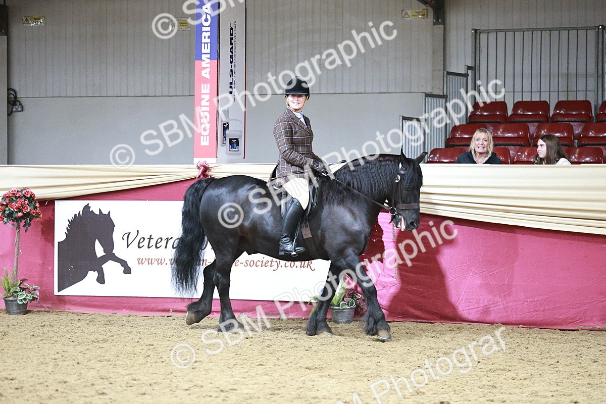 SBM_08728 - Class 12R - Regional Ridden Pre-Vet