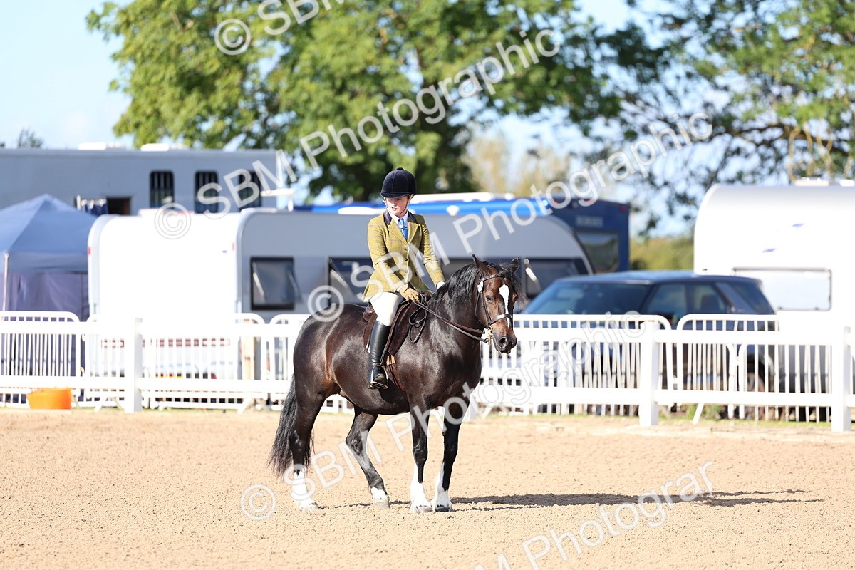 SBM_08899 - Class 302 - Ridden M&M - Large Breeds