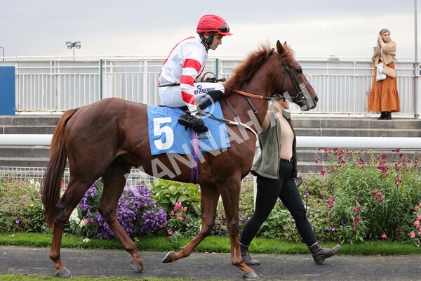 yr09102021r5-3 - Race 5 3.50pm Coral ebfstallions.com Novice Stakes