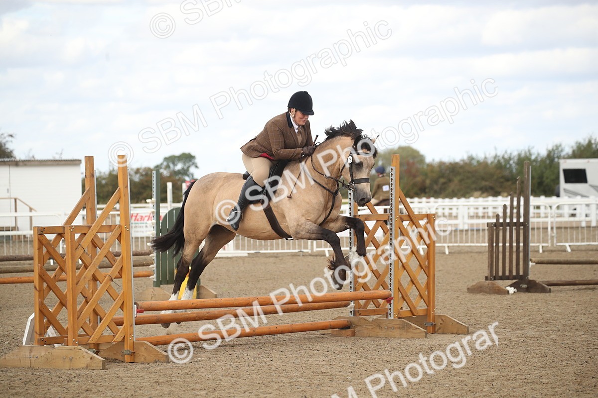 SBM_14564 - Class 505a - M&M Working Veteran - 50cm (15-19)