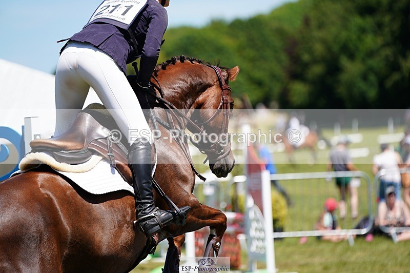 240629X-122922-4837 - 211-Valentine_Emsens-FELINE