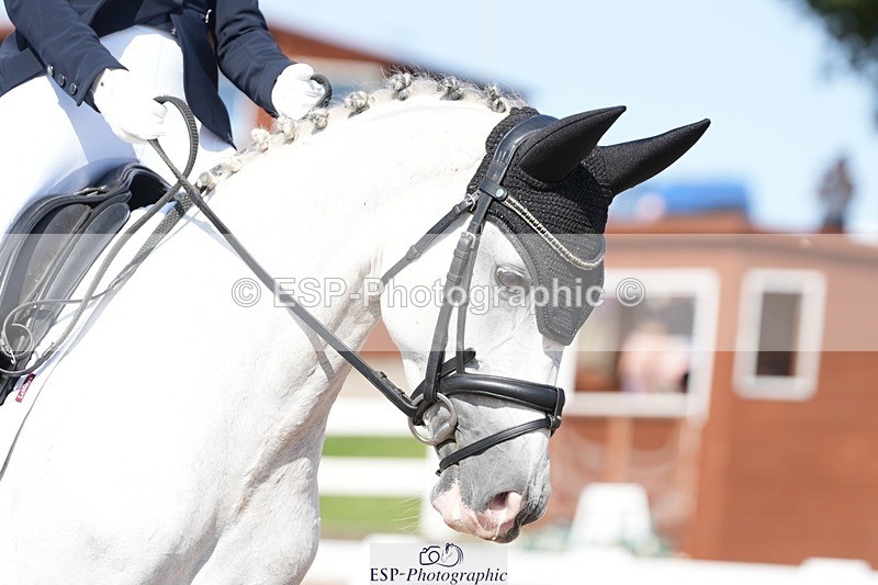 250817-160556-11843 - 207-Esme.LangBrouwershaven.Silvia