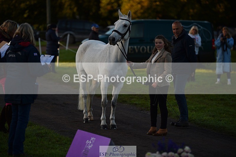 231022-083248-21220 - 659-MACS.BOY-Daisy.Fulton-TrotUp+SJ