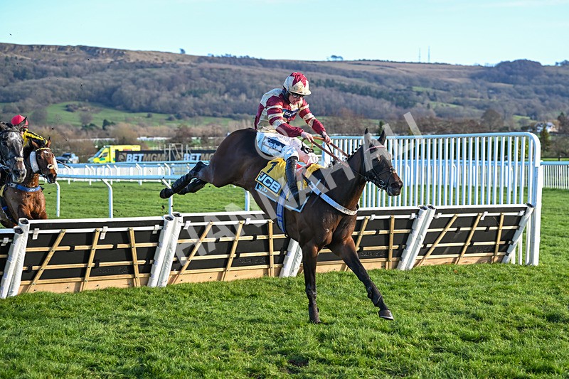 141224-Race 1-Quantock Hills-1108 - Race 1