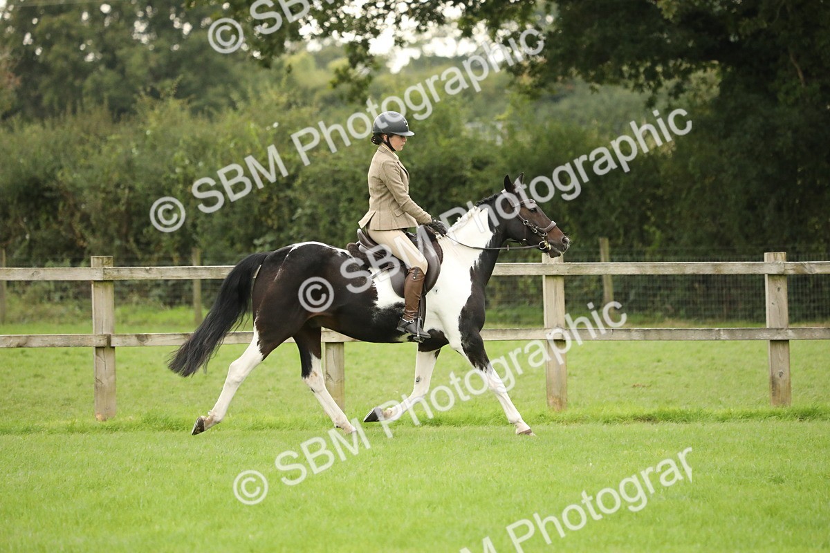 SBM_73771 - S41 - Ridden Equitation (Best Rider)