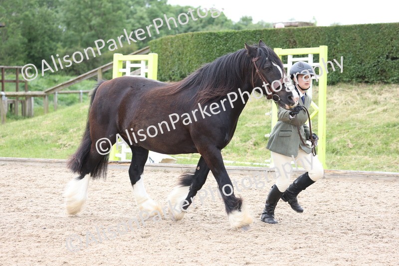 20250524-1026 - Class 9 - Cob and Hunter