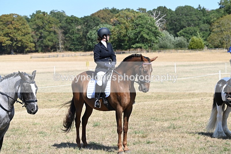 WJ6_9250 - Championship Classes 33-38