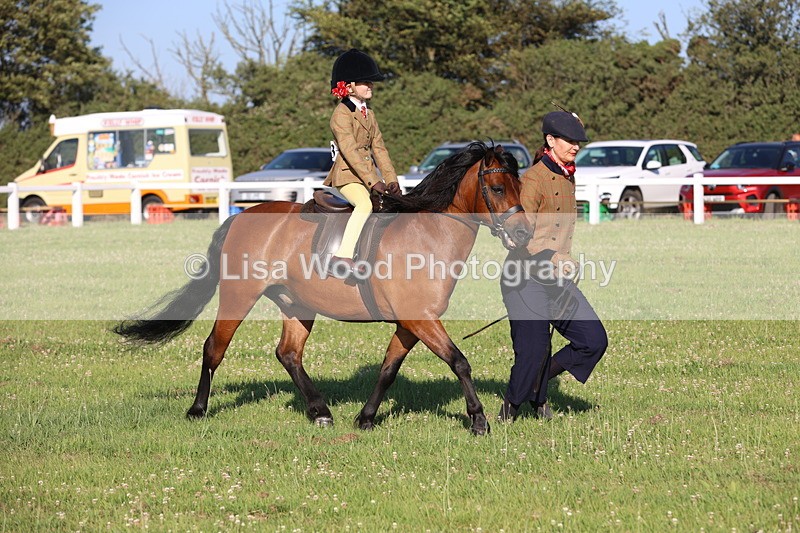 JPP_0735 - Class 16: Cornish Combination Leading Rein
