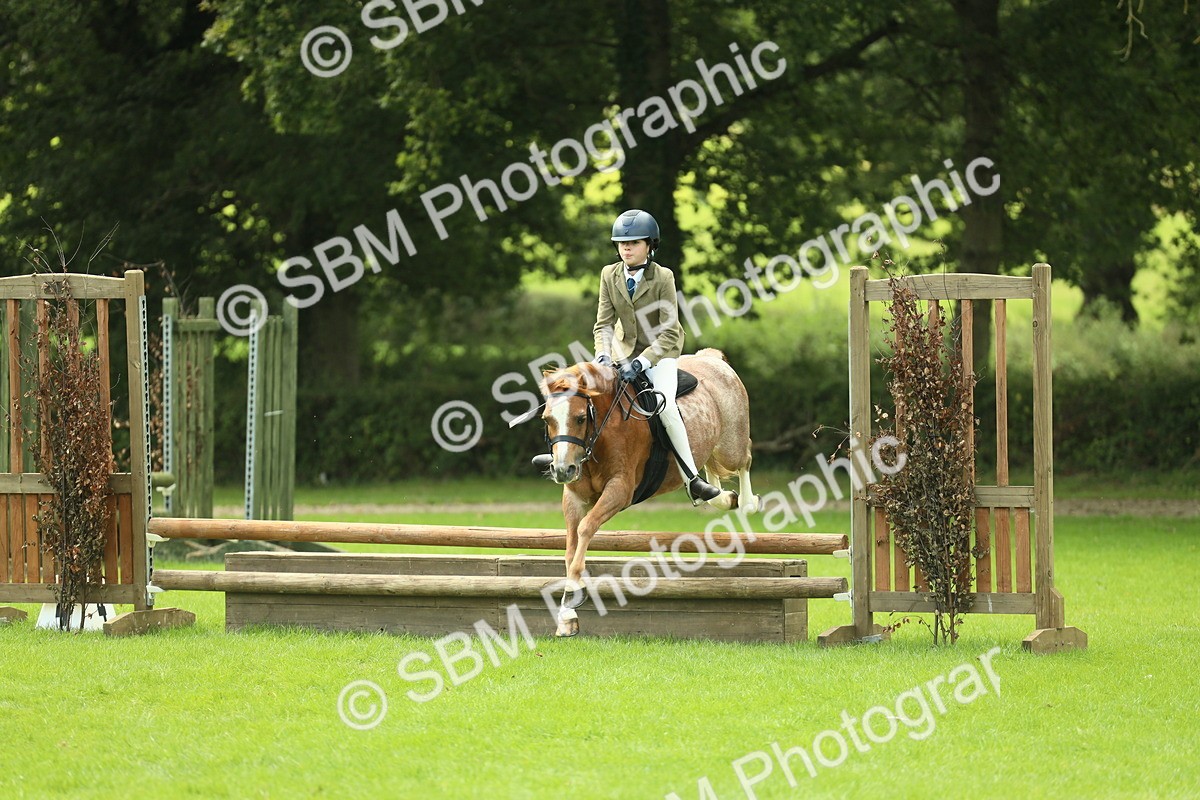 SBM_42731 - S30 - M&M Working hunter Pony