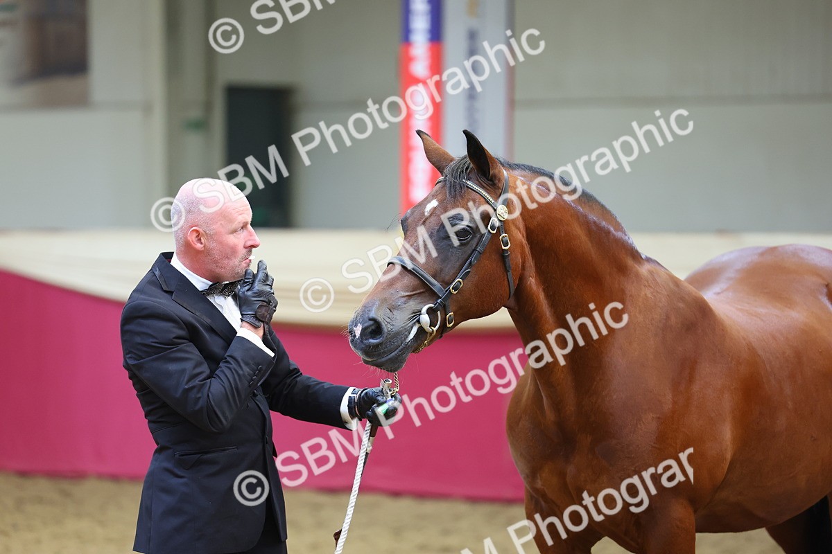 SBM_23228 - Supreme Final - IH Champion