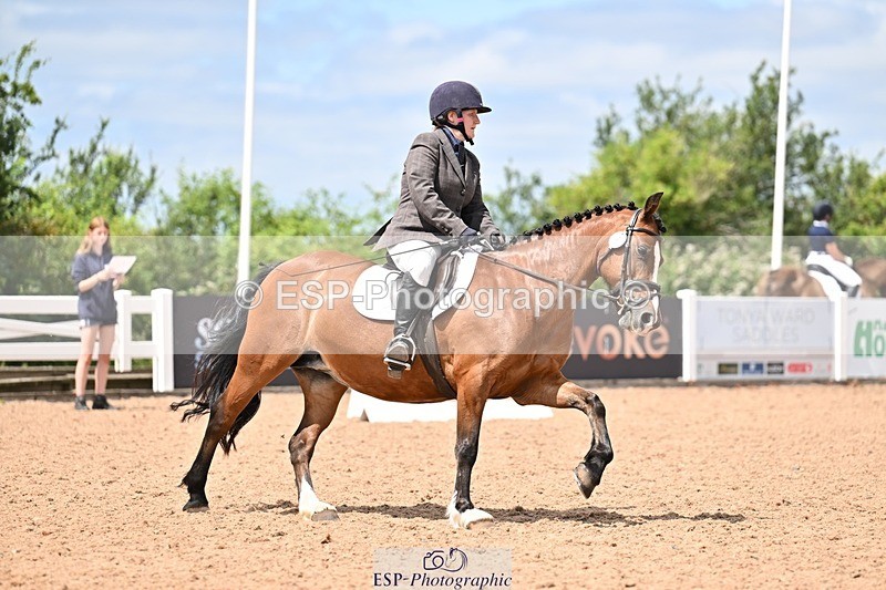 260704-132938-04895 - Cls 4D Senior Intermediate Novice 1