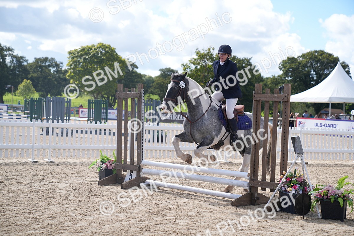 SBM_04112 - J34 Veteran 50cm Championship