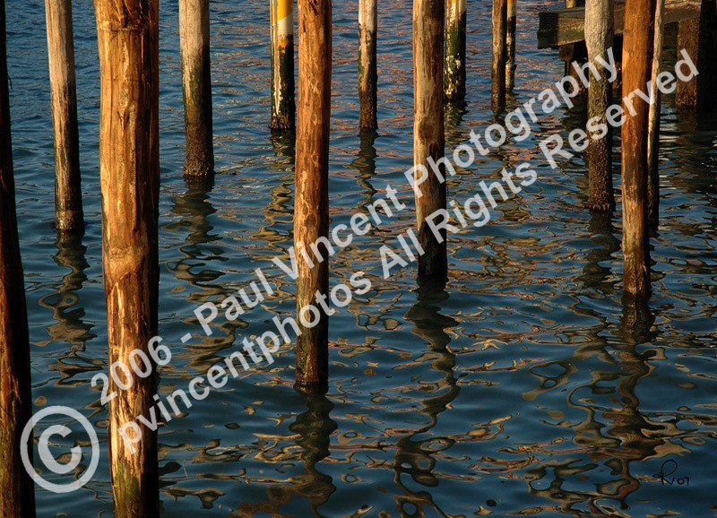Poles Alight - Venice