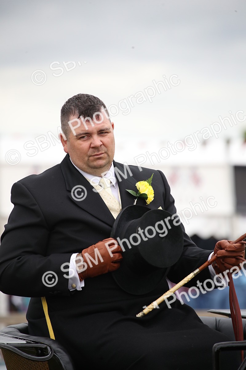 SBM_05778 - Class 12-15 - HOYS Private Driving