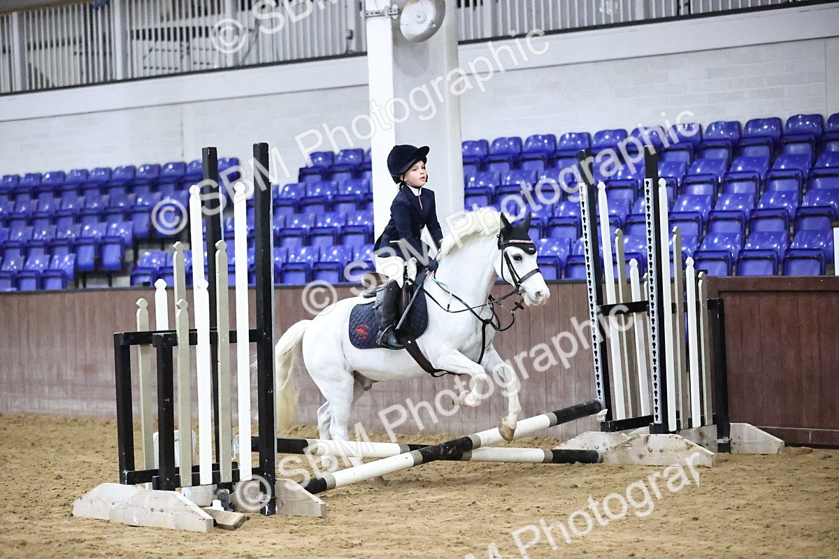 SBM_000095 - Class 1 - Fox Farriers 30cm