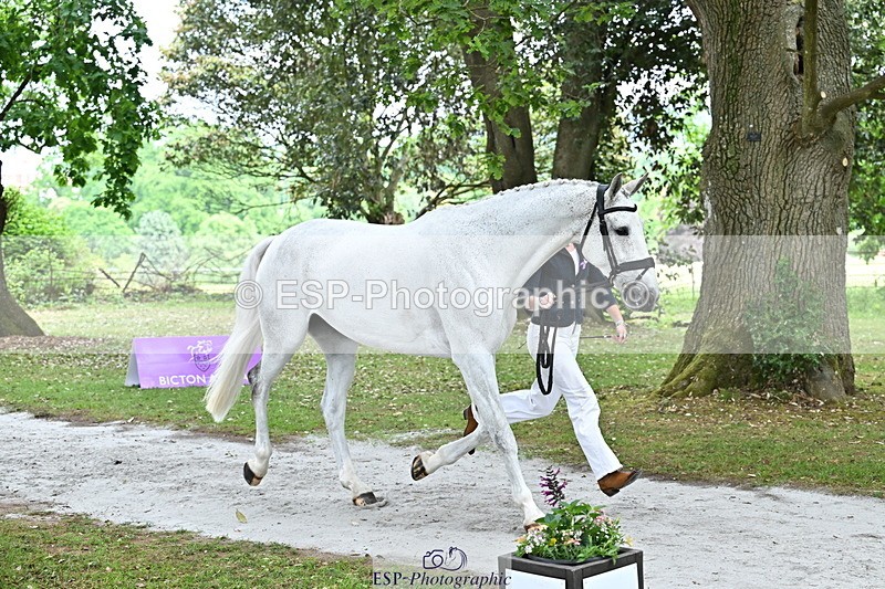 250521A-145015-00275 - A-065-Beatrice.Montgomerie-JAG.WOMANIZER.LADY