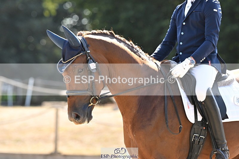 250808A-164300-02160 - 153-Angus.Corrie-DeaneVeyron.II