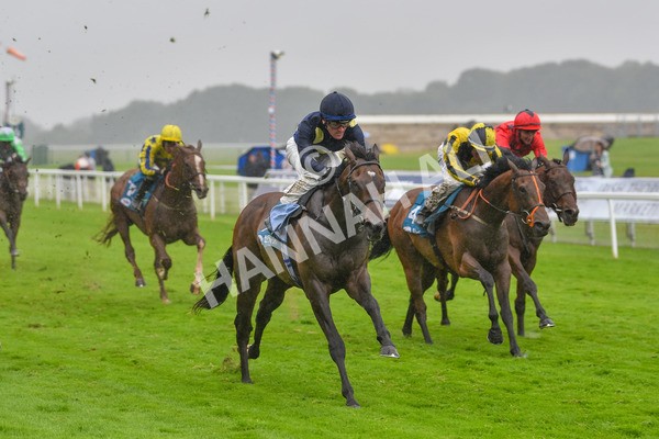 140723-Race 5-Monte Linas-8289 - Race 5 4.25pm Coopers Marquees Handicap
