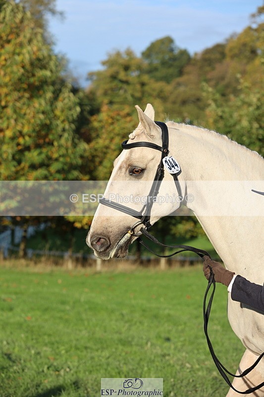 251026A-093343-22336 - D-344-Johanne.Heuff