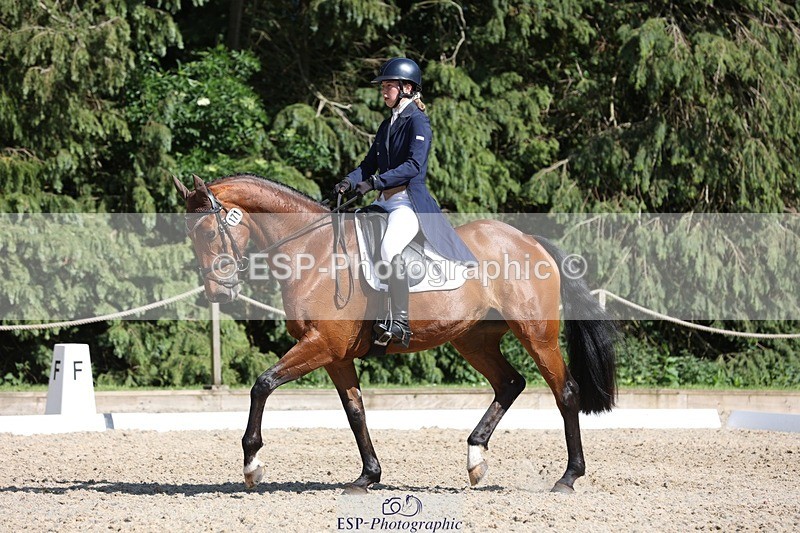230526-162322-07810 - 171-SLANEYSIDE_COOLEY-Lara_Chapple-WEDTrotUp+DR