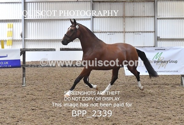 BPP_2339 - AFTERNOON 12.30 - 3.30PM