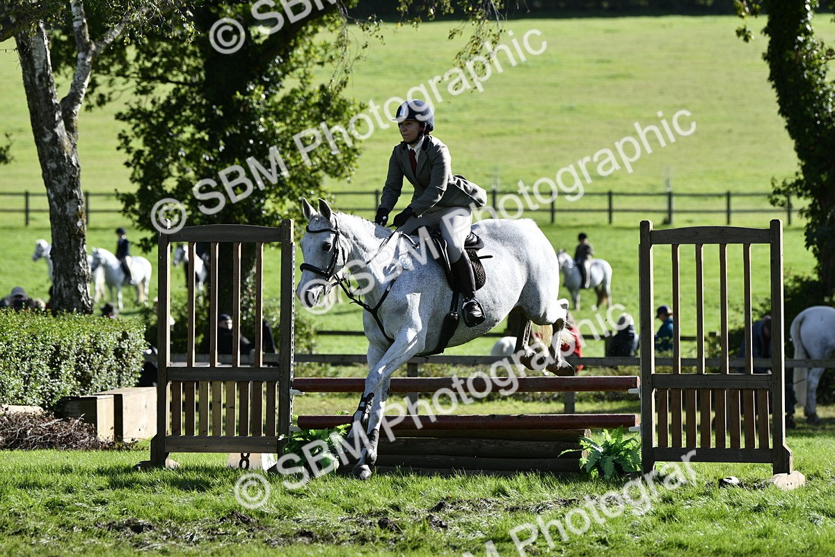 SBM_50026 - S34 - Novice & Newcomers Working Hunter
