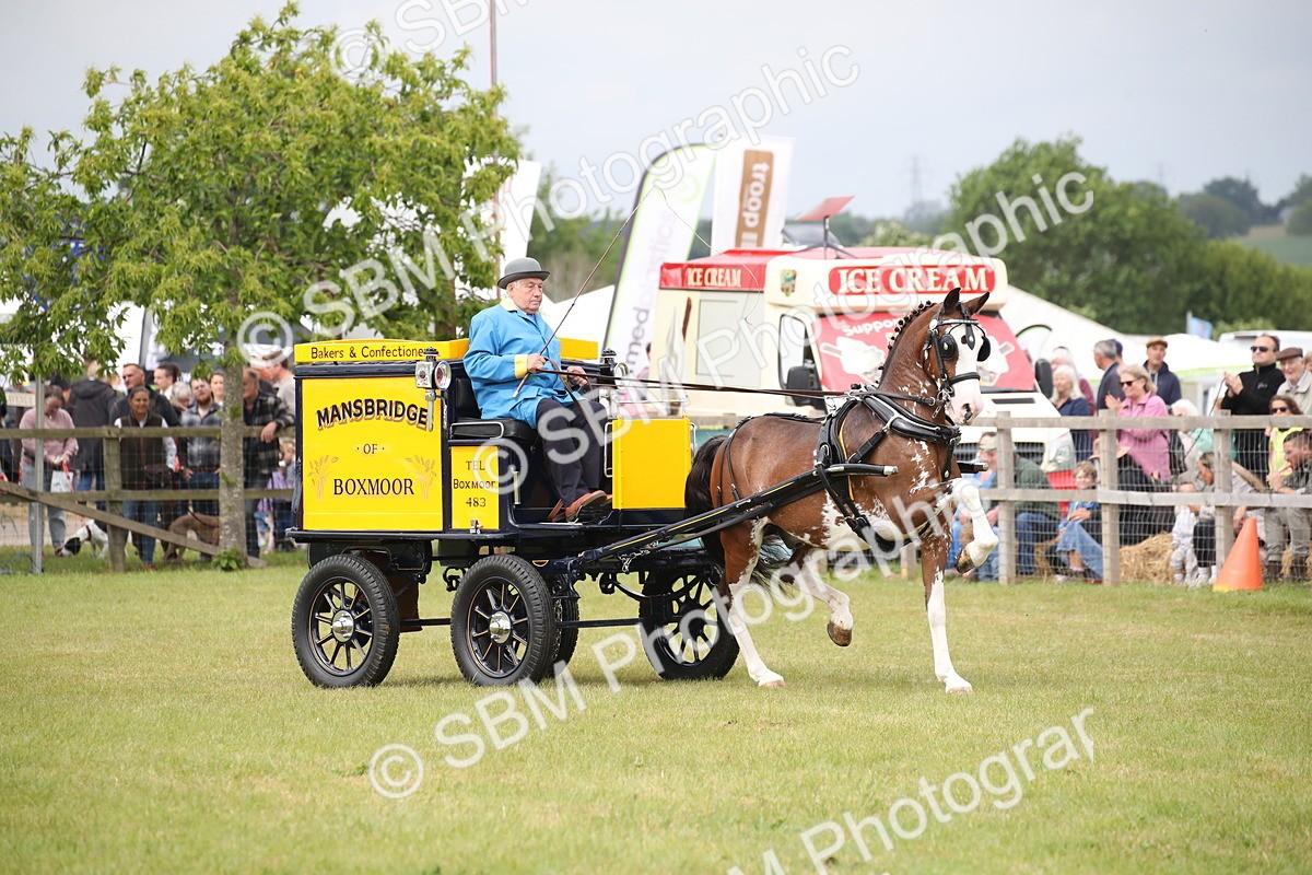 SBM_07070 - Class 16 - Light Trade