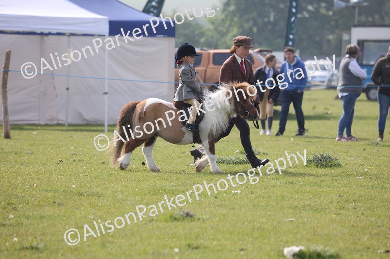 20260426-0316 - Class 30 - Tiny Tots Lead Rein