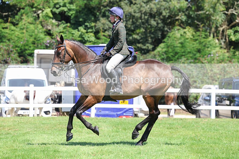 3E7A8983 - Class 6: Open Working Horse