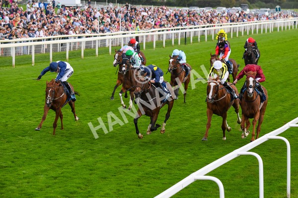 240823-Race 5-Sea Theme-0682 - Race 5 4.10pm British EBF & Sir Henry Cecil Galtres Stakes