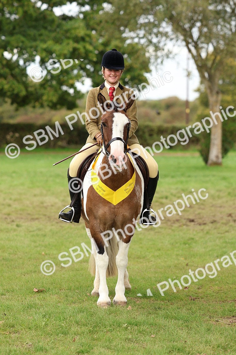 SBM_65218 - S59 - Part Bred Arab & Native Pony Ridden