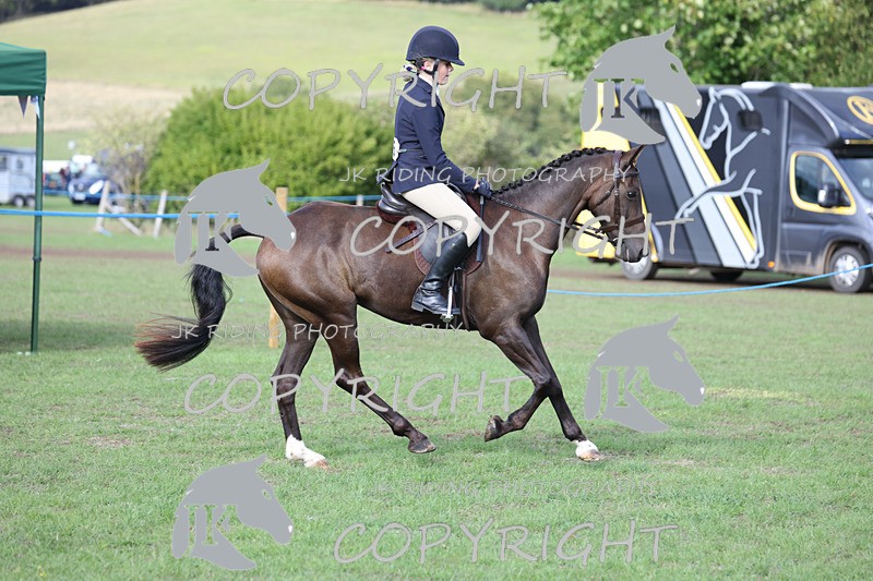 APP_4174 - Class 15a/b Pony club pony/Riding club horse