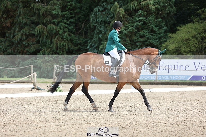 250718A-152849-02581 - 152-Tracy.OKennedy-Wylye.Harlequin