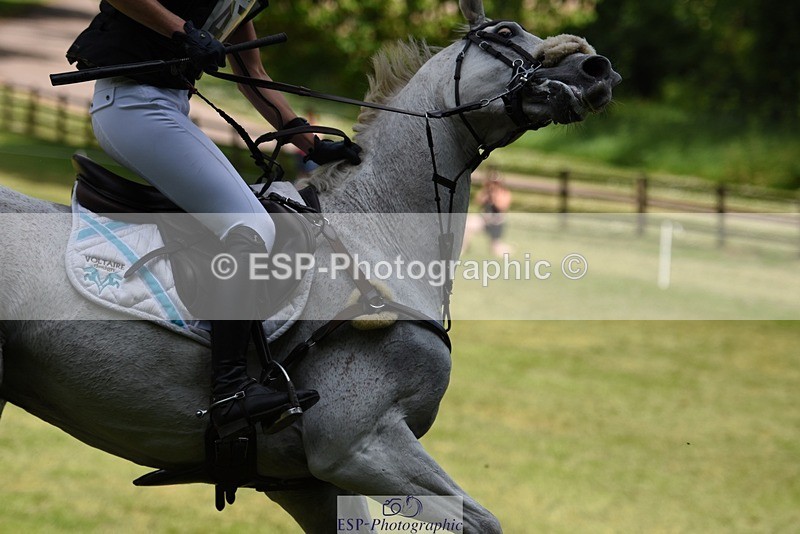 230528-142154-17962 - 475-GLADSTONE_II-Ginny_Thomasen-XC