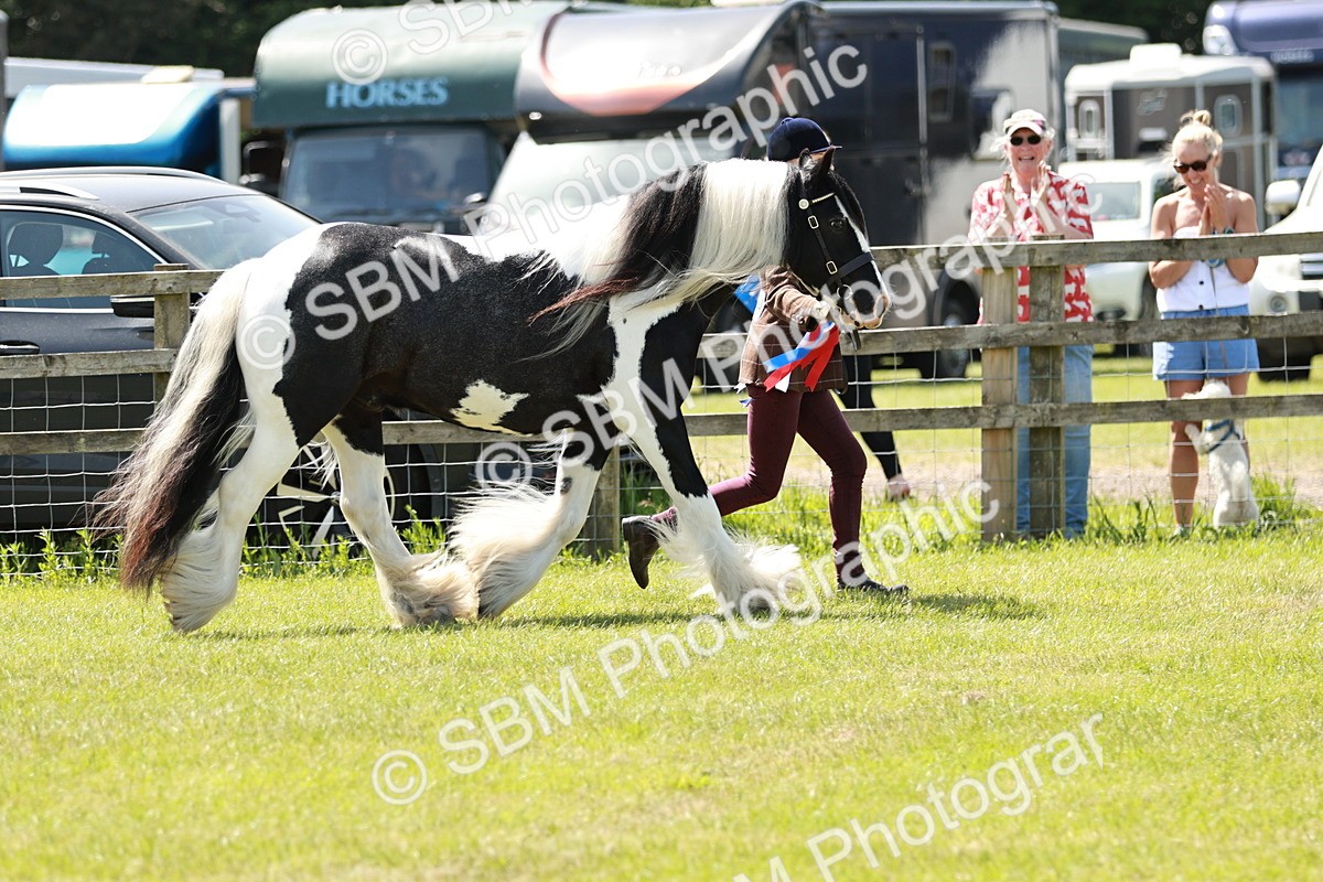 SBM_05550 - Class 41-45 - Riding Pony-Hunter Pony Breeding