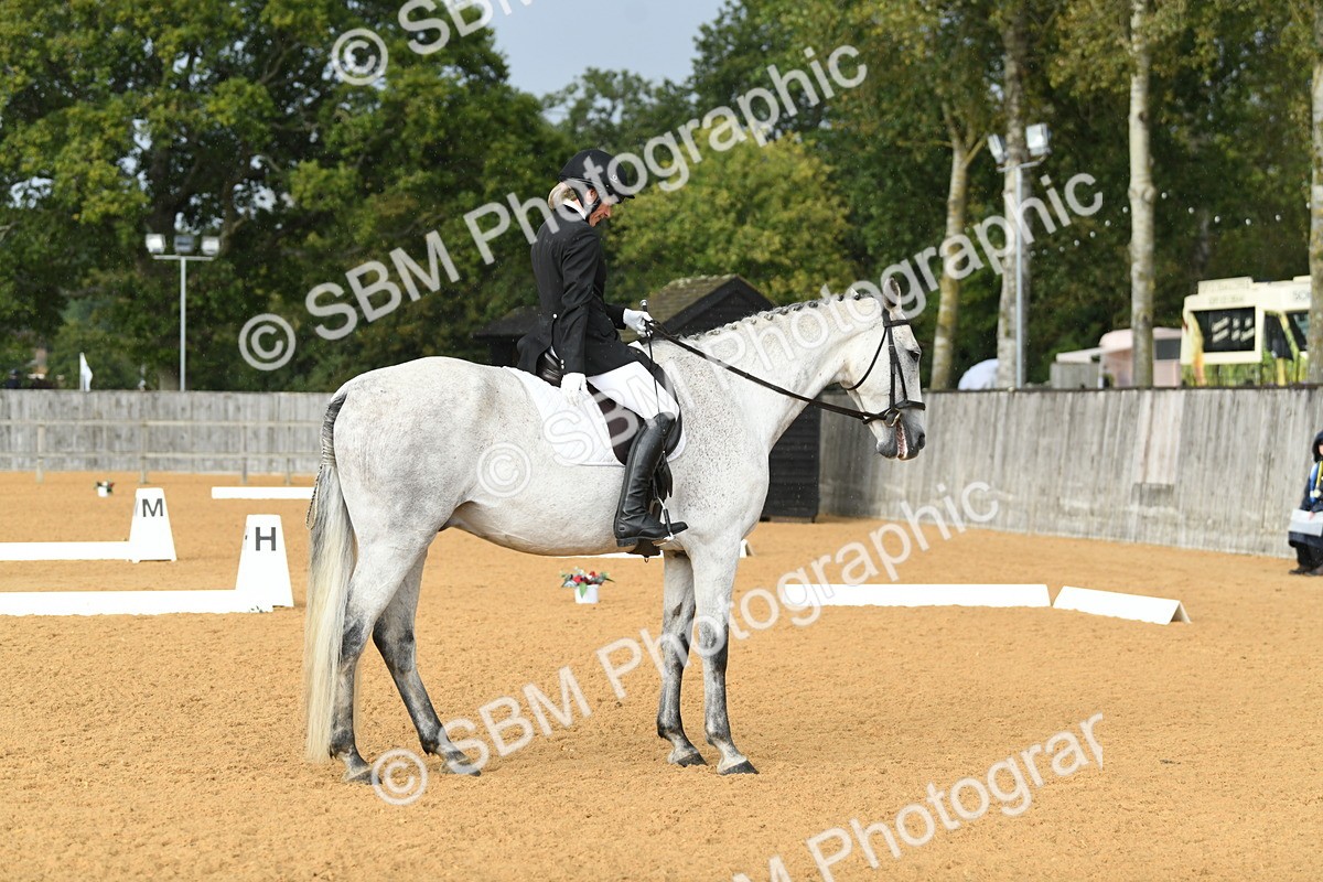 SBM_11189 - D28 Elementary Taster Elementary 42