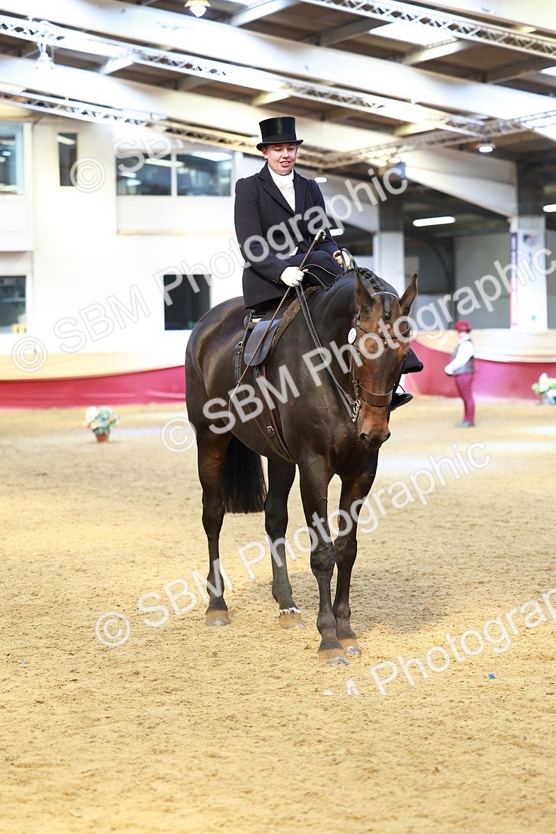 SBM_23487 - class 906 - Supreme Final - Ridden Pre Vet