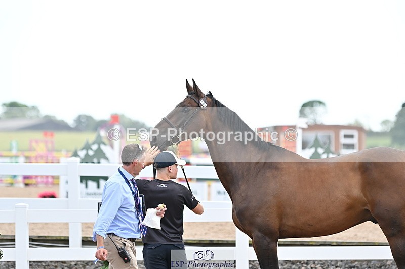 240717A-142504-02061 - Trot Up 2pm to 3pm - This folder is not in time order