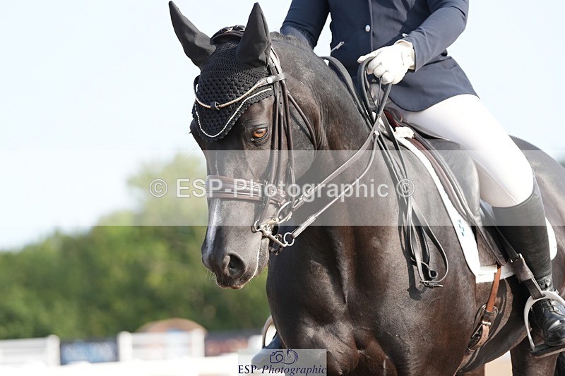 250815-090235-00007 - 004-Amy.CoxPretty.Picture