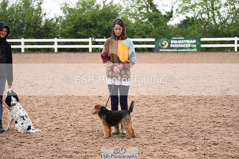 240518A-132434-01291 - Cls 8 Dog the judge would most like to take home