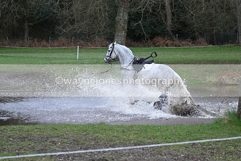 WJ7_7403 - Time 15:11 to 15:25