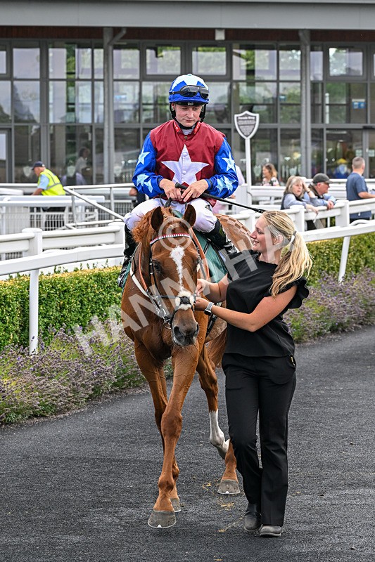 040826-Race 3-Free World-5172 - Race 3 15.15pm Jacky Rylance 60th Birthday Celebration Handicap