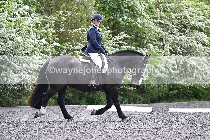 WJ7_9015 - Time 11:32 to 11:54