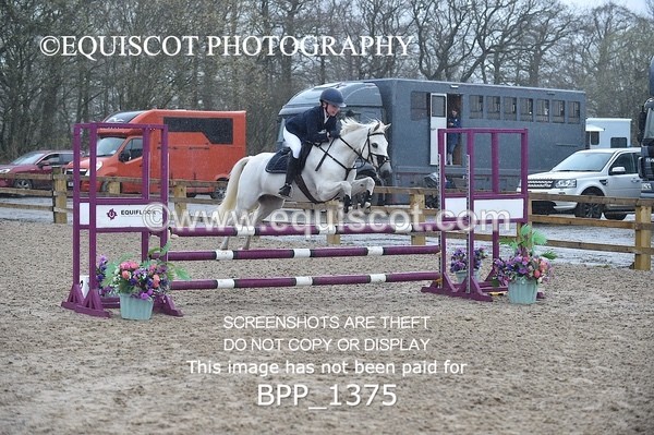 BPP_1375 - CLASS 5 Pony BritiNovice / 0.80m Open