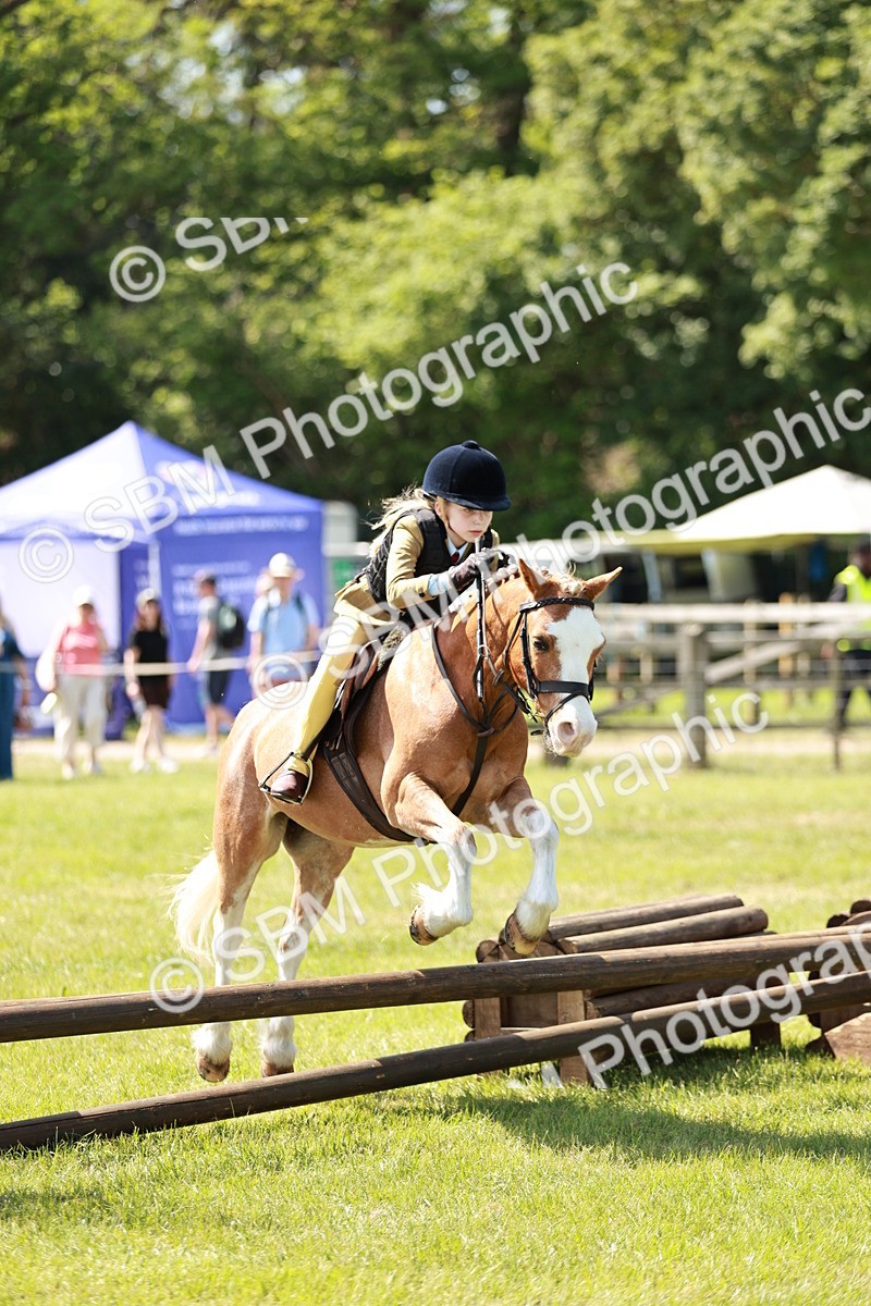 SBM_13586 - Class 108-109 - BSPS LIHS Open Gradle & Nursery Stakes