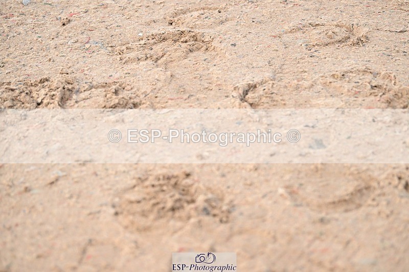 250424-112017-04052 - Cls 17 - 1 Star Silver Tour