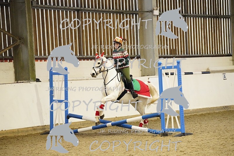 _DSC3286 - 50cm/60cm Pairs