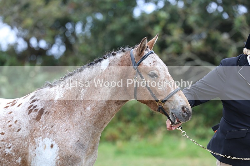 3E7A4150 - Class 15: Two Year Olds