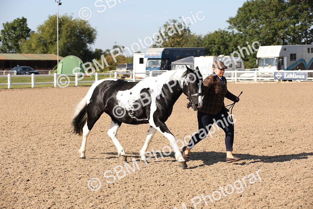 SBM_01498 - Class 15 IH Coloured